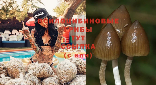 ECSTASY Беломорск