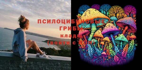 мескалин Белокуриха