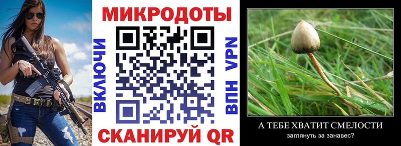 Галлюциногенные грибы Magic Shrooms  Оха 